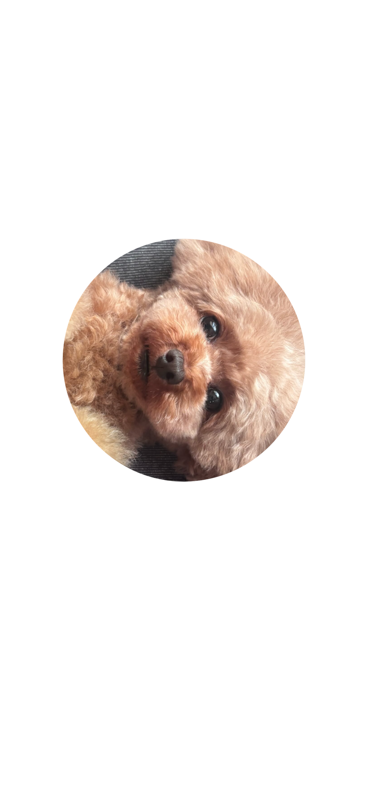 files/b51e3b2f-a070-4f21-895e-5e6546652f77.png