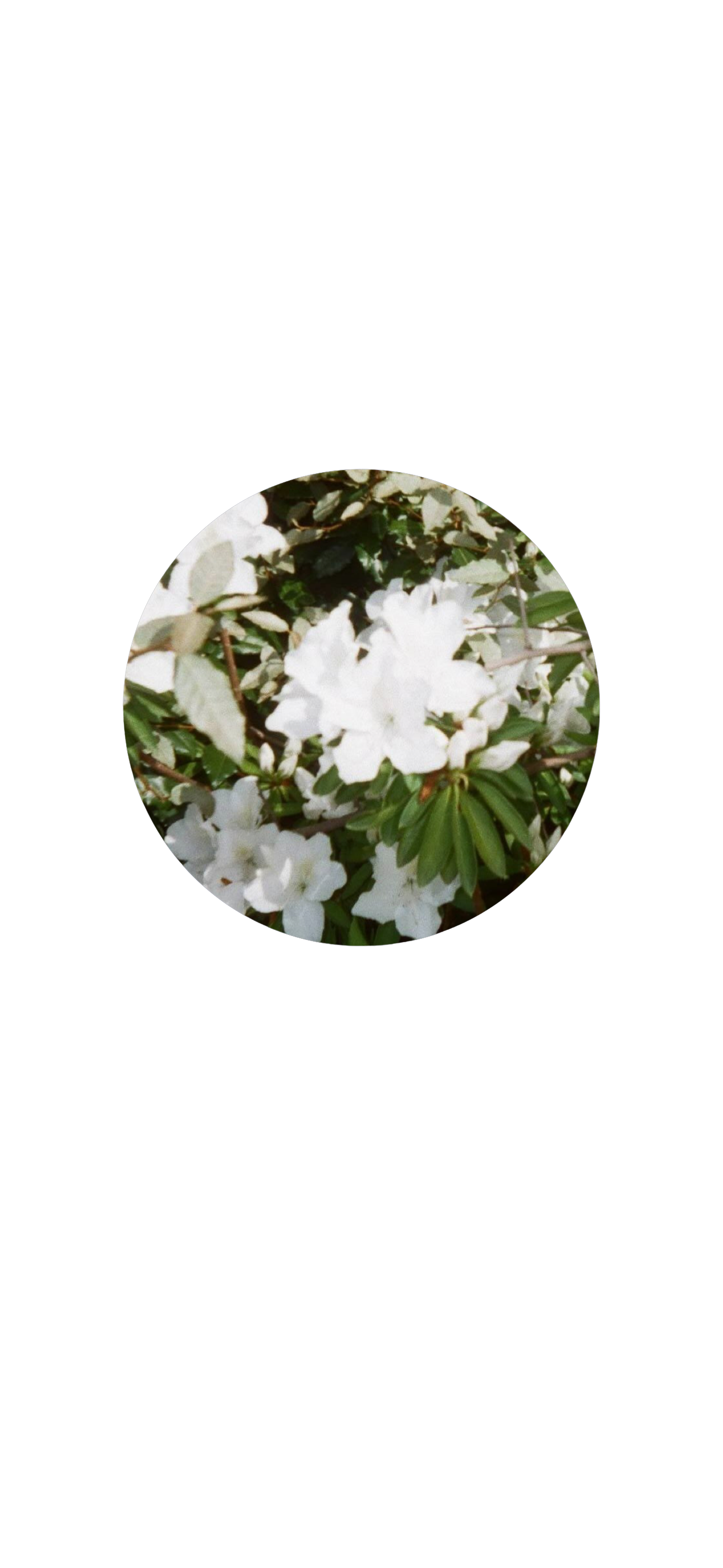 files/ead2d26e-ef22-48bd-87aa-fbb303c5d925.png